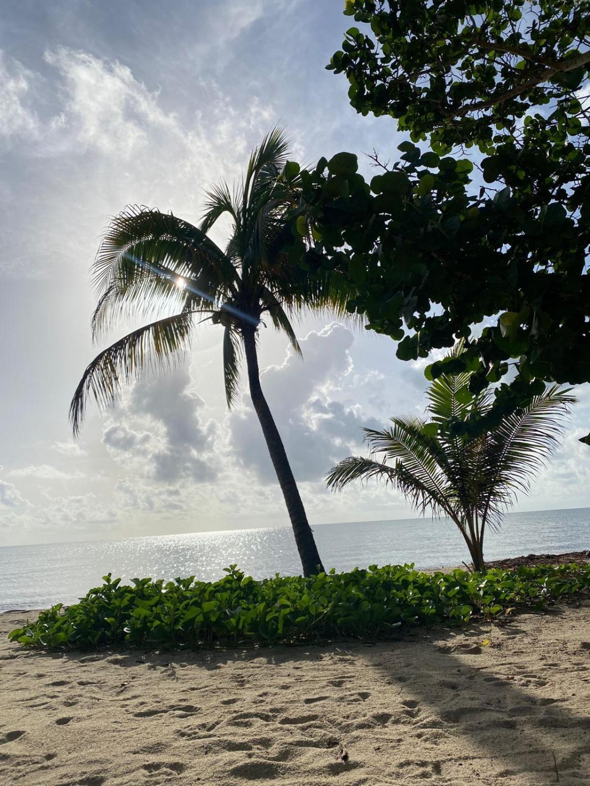 Coconut Row Boutique Hotel Hopkins Zimmer foto